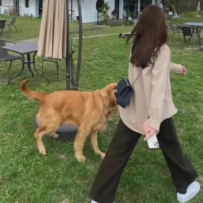 屌丝女士第三季